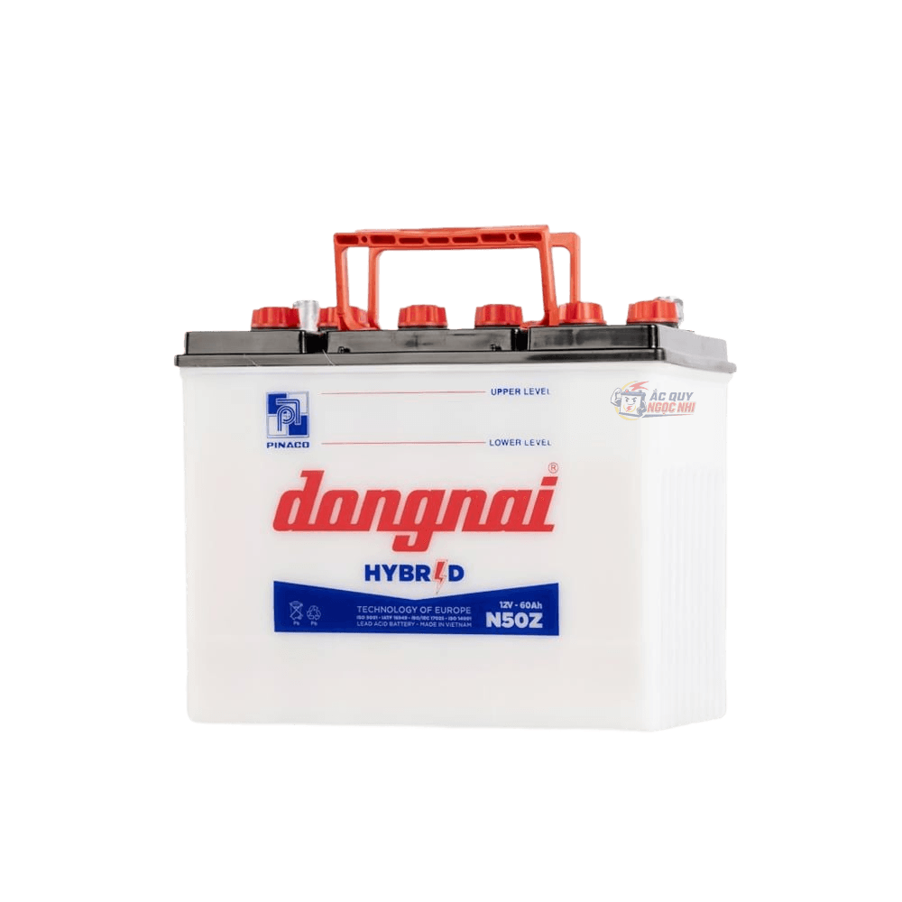 Bình ắc quy Đồng Nai 60Ah ảnh 3