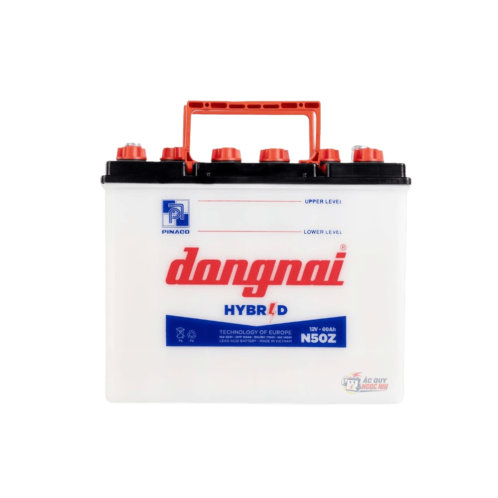 Bình ắc quy Đồng Nai 60Ah ảnh 2