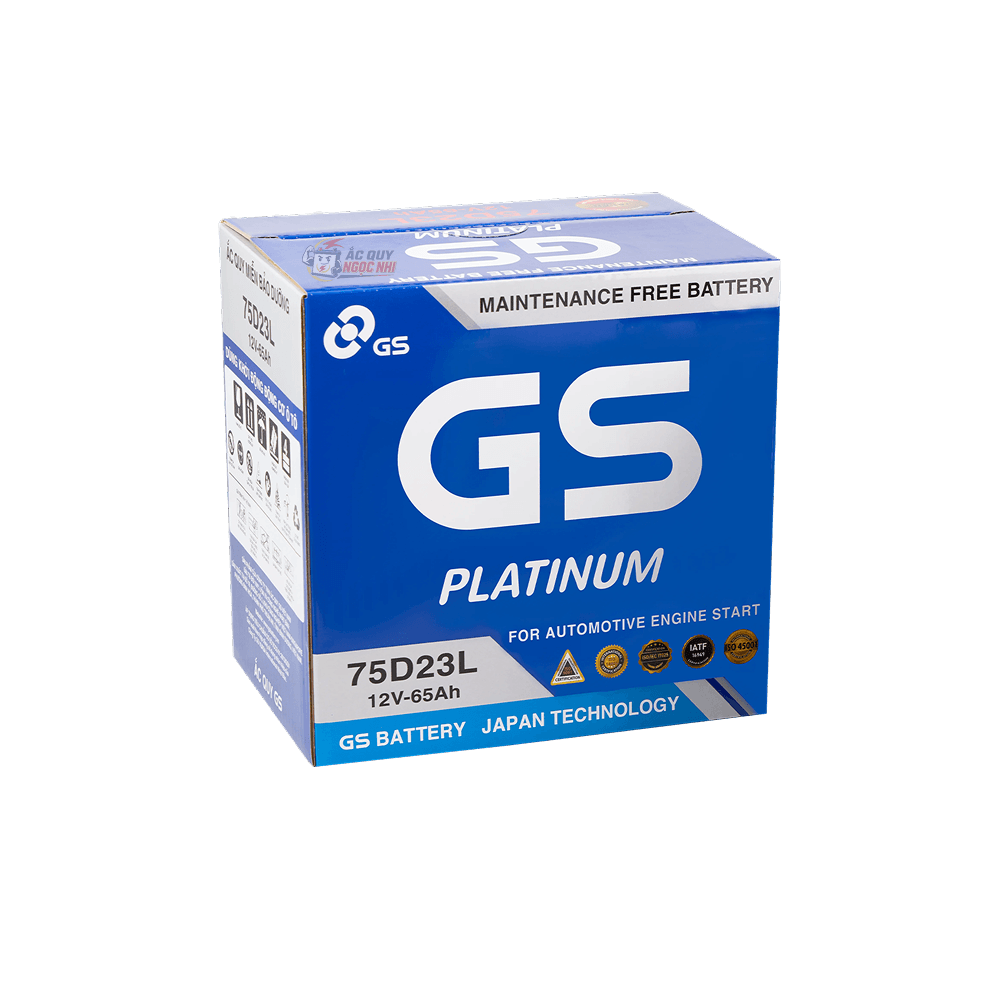 Ảnh Bình GS MF 75D23L