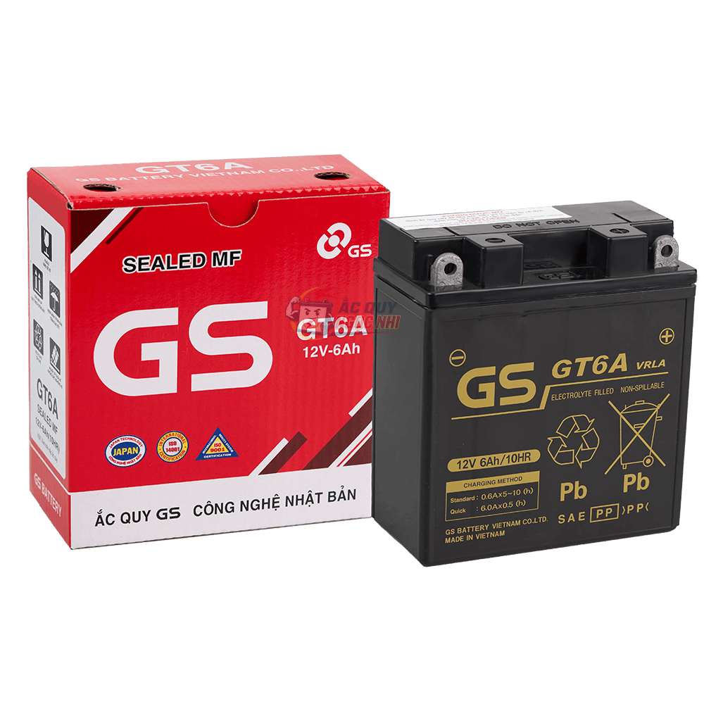 Bình ắc quy GS 6Ah ảnh 2