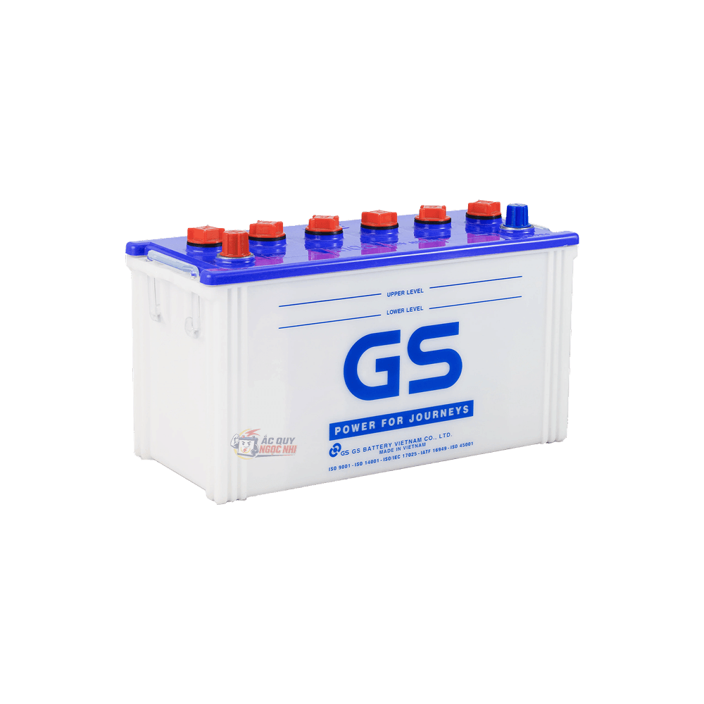 Ảnh GS N100 100Ah