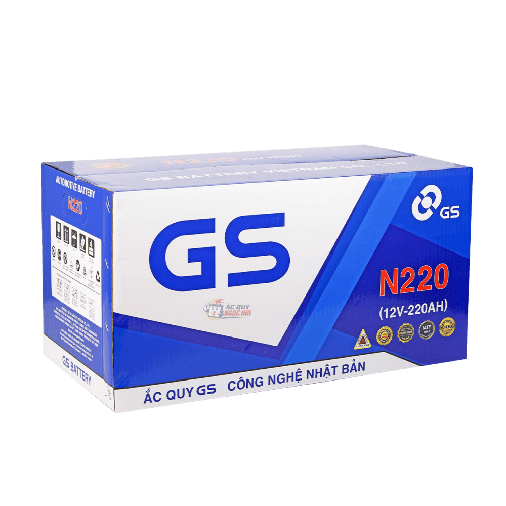 Bình ắc quy GS 220Ah ảnh 2